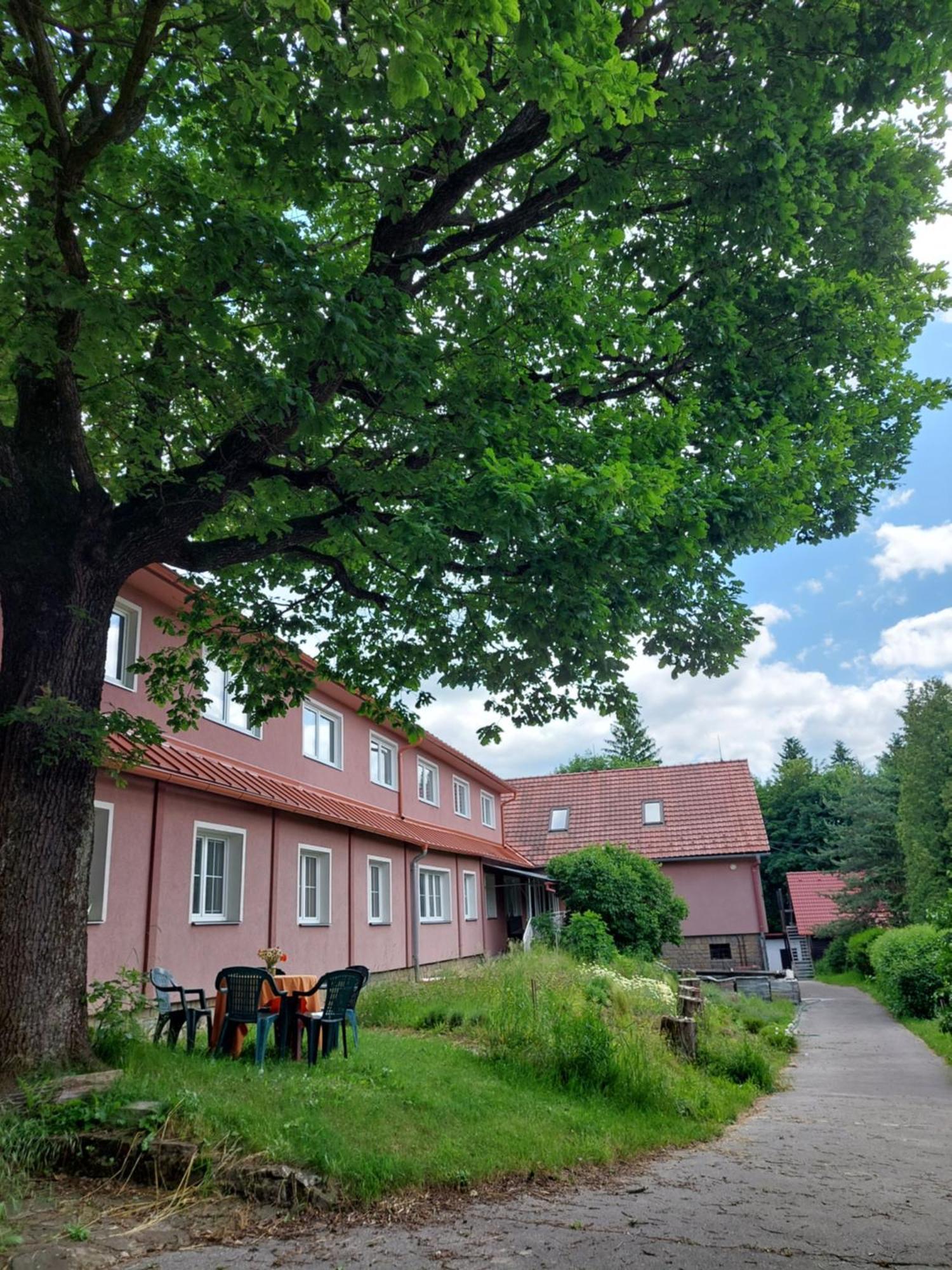 Monte Lope Hotel Bystrice pod Lopenikem Buitenkant foto